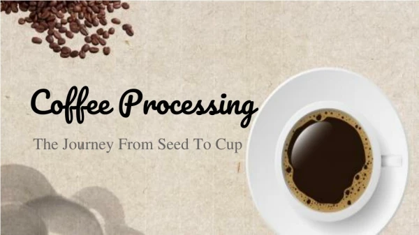 Dark Roast Whole Bean Coffee, Lab Tested,1,555 ml Caffeine Per 12 Ounces - Devil mountain Coffee
