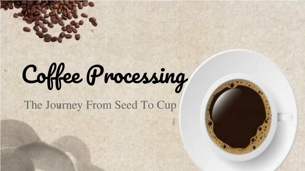 coffee processing