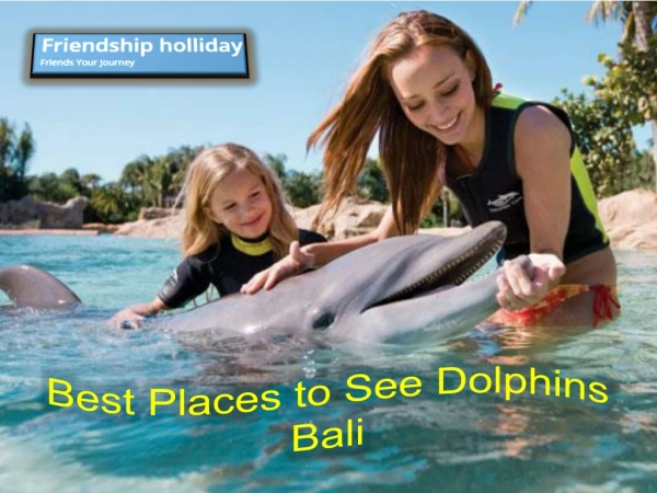 Best Places to See Dolphins Bali