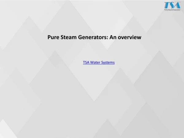 Pure Steam Generators: An overview