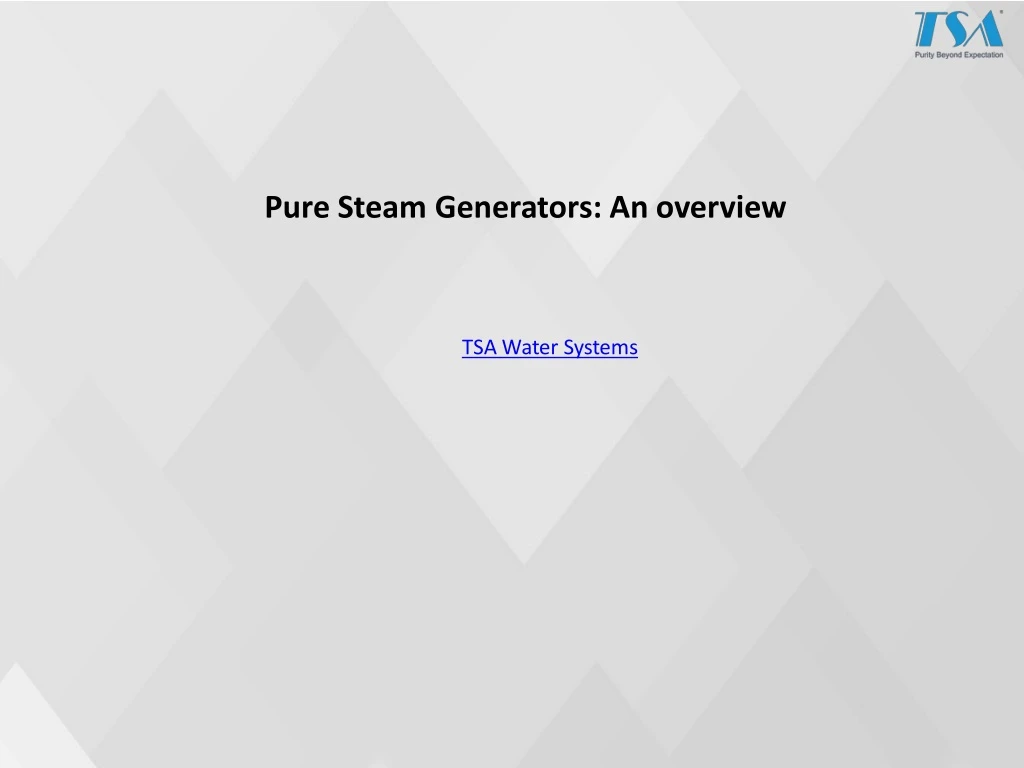 pure steam generators an overview