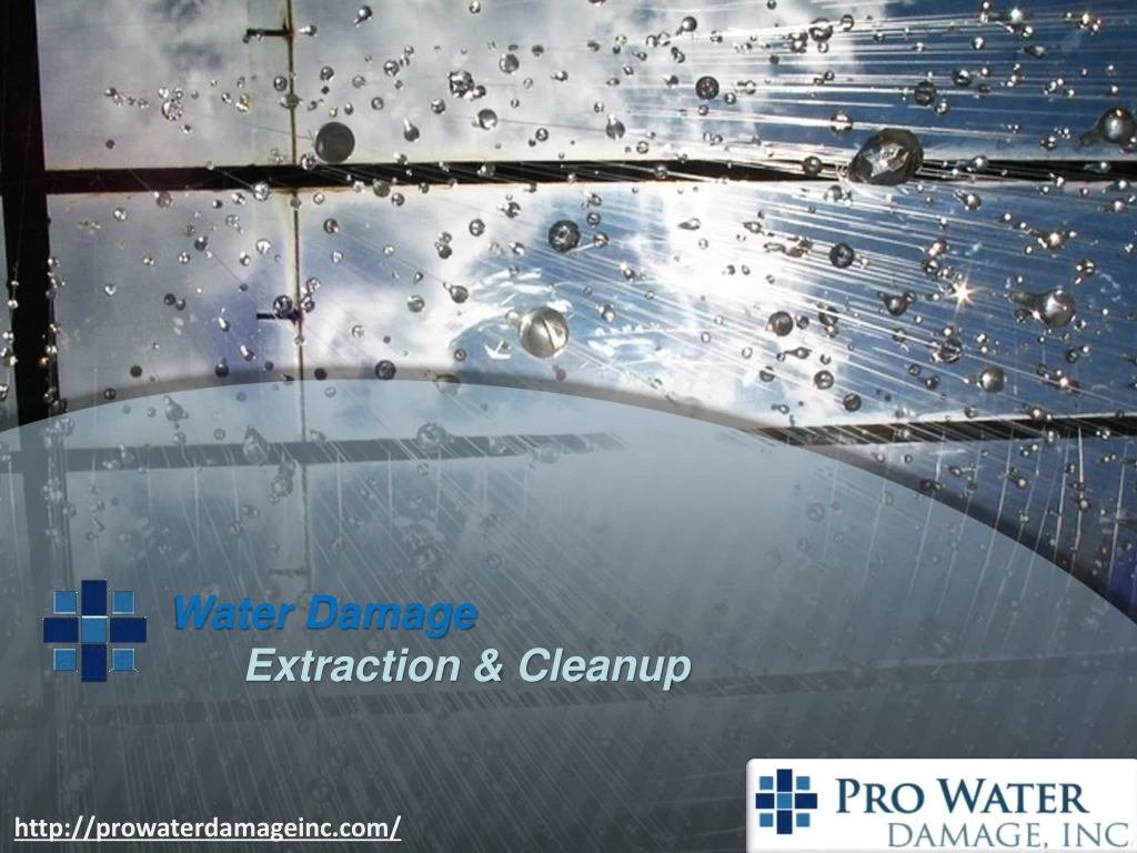 water damage extraction cleanup