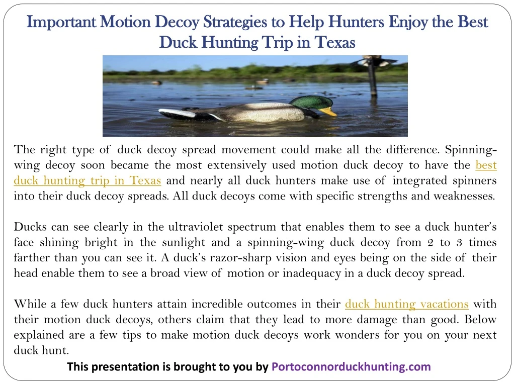 important motion decoy strategies to help hunters