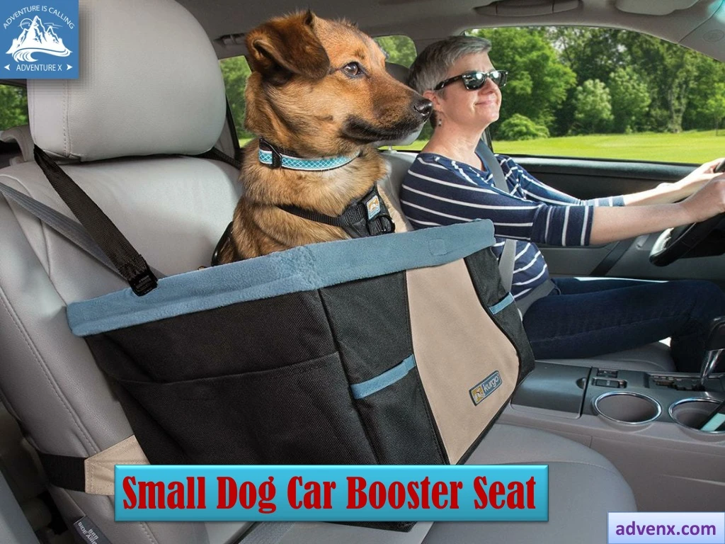 small dog car booster seat