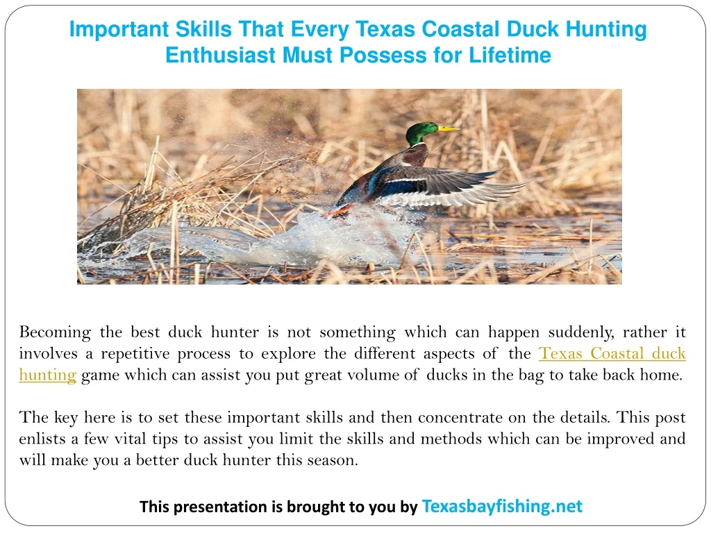 important skills that every texas coastal duck
