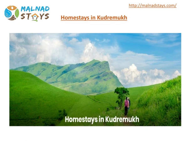 Homestays in Kudremukh
