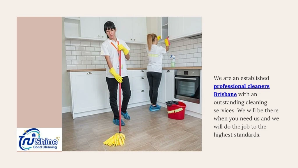 we are an established professional cleaners