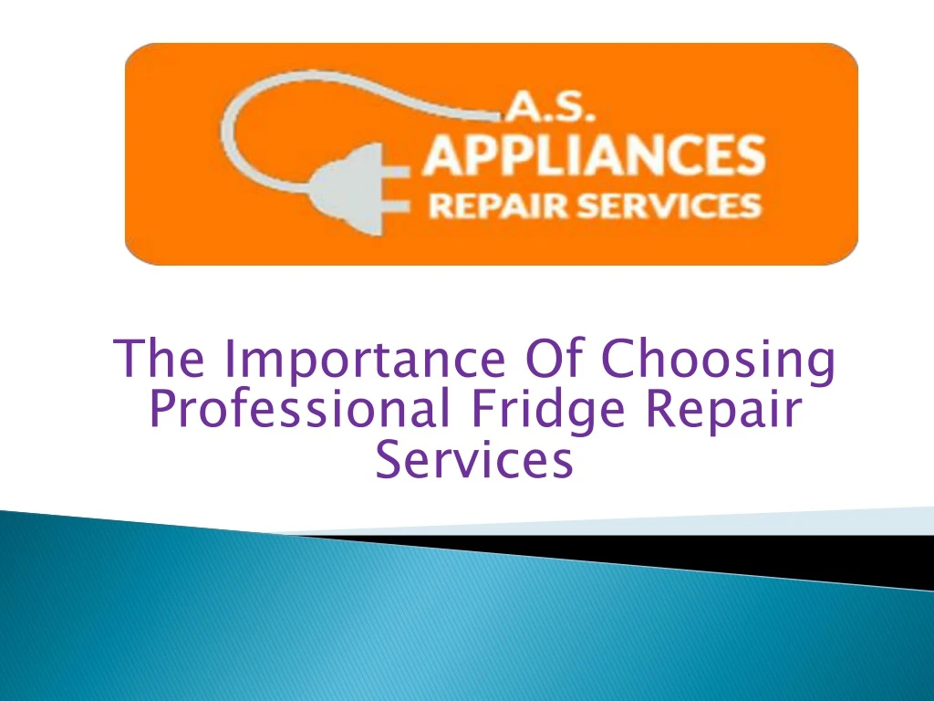 the importance of choosing professional fridge repair services