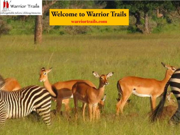 Welcome to Warriortrails
