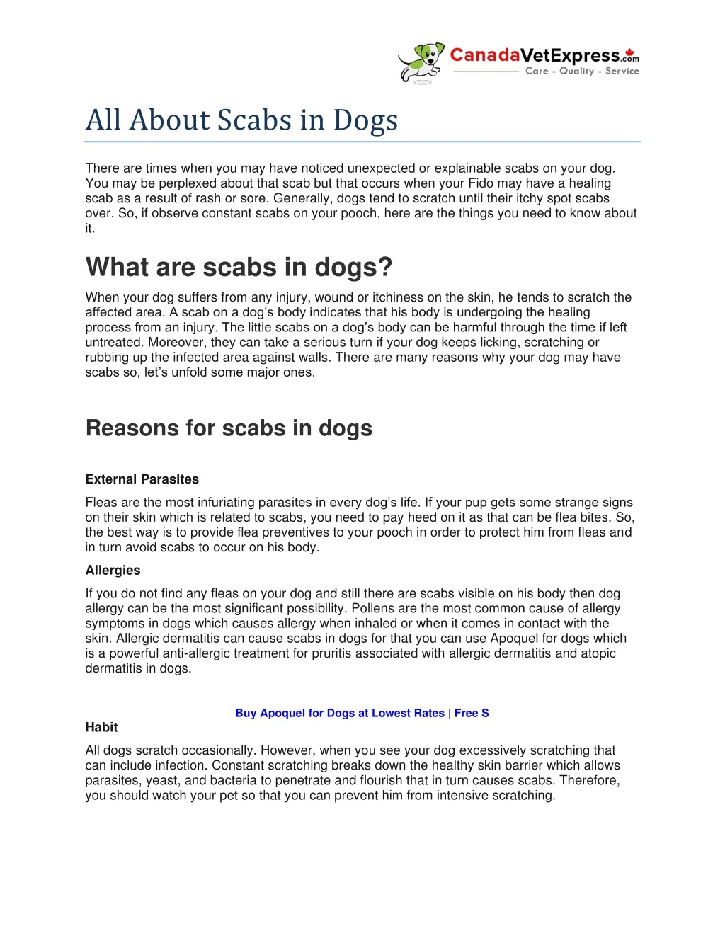 all about scabs in dogs