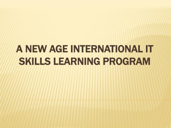 a new age international it skills learning program