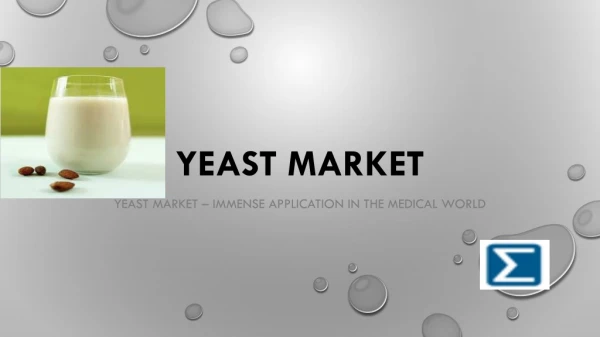 Yeast Market – Immense Application In The Medical World