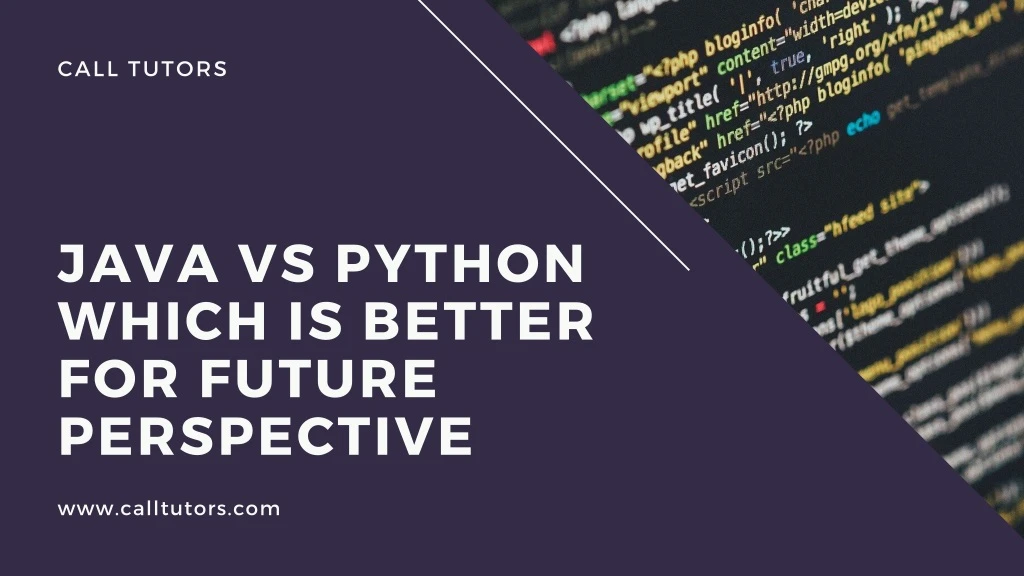 java vs python which is better for future