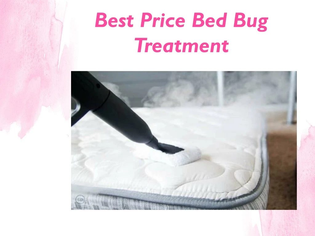 best price bed bug treatment