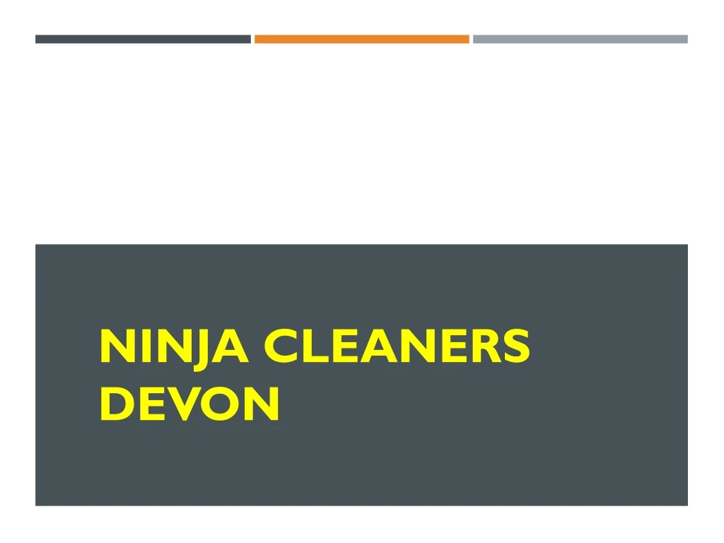 ninja cleaners devon