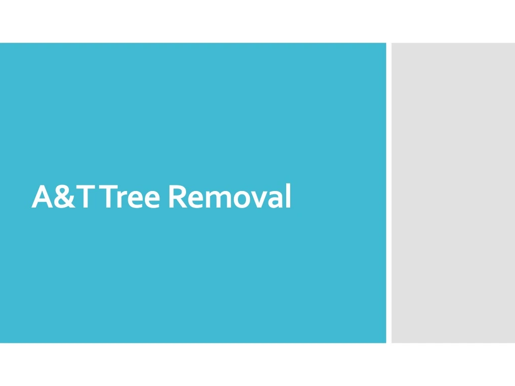 a t tree removal