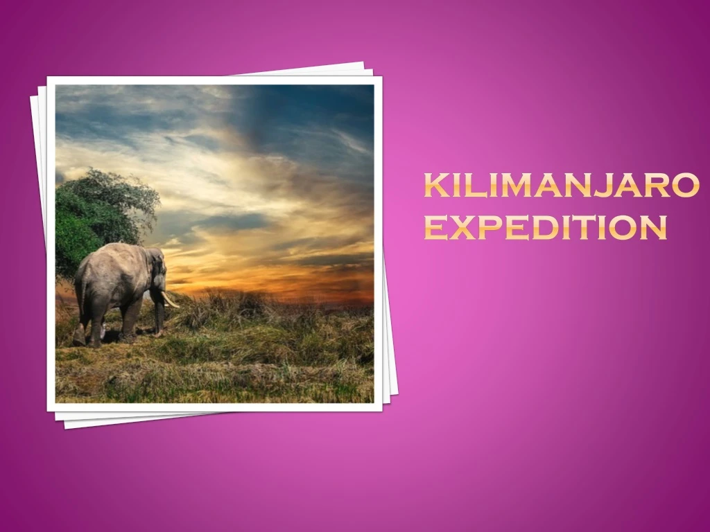 kilimanjaro expedition
