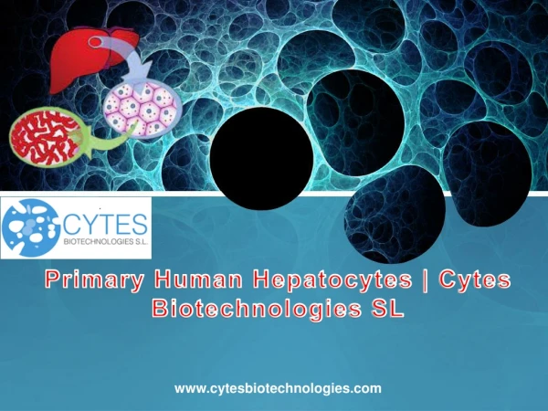 Primary Human Hepatocytes : Cytes Biotechnologies