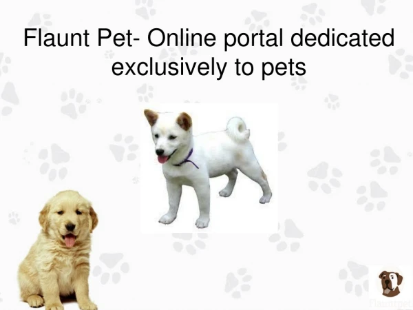 Flaunt Pet- Online portal dedicated exclusively to pets