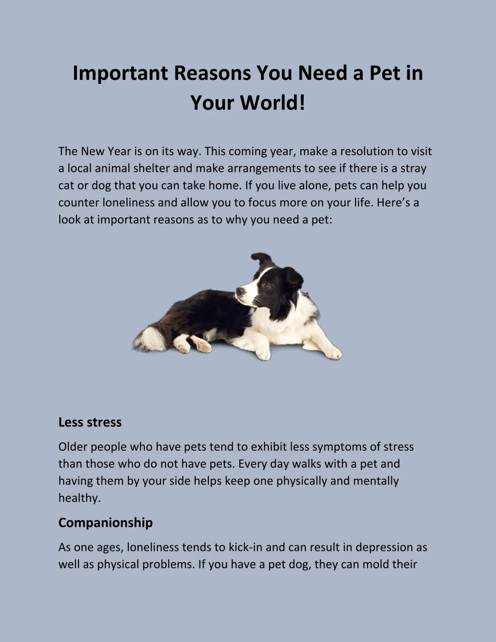 important reasons you need a pet in your world
