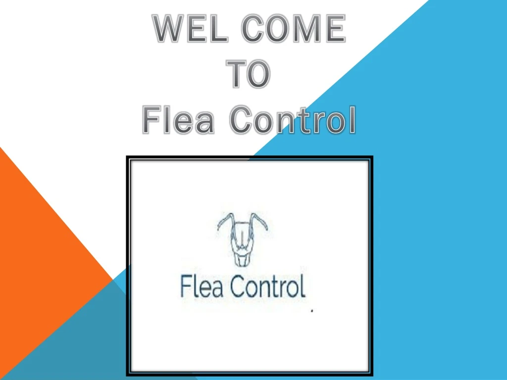 wel come to flea control