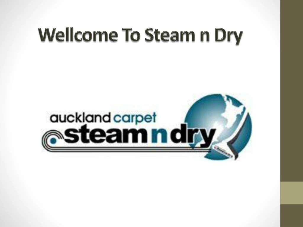 wellcome to steam n dry
