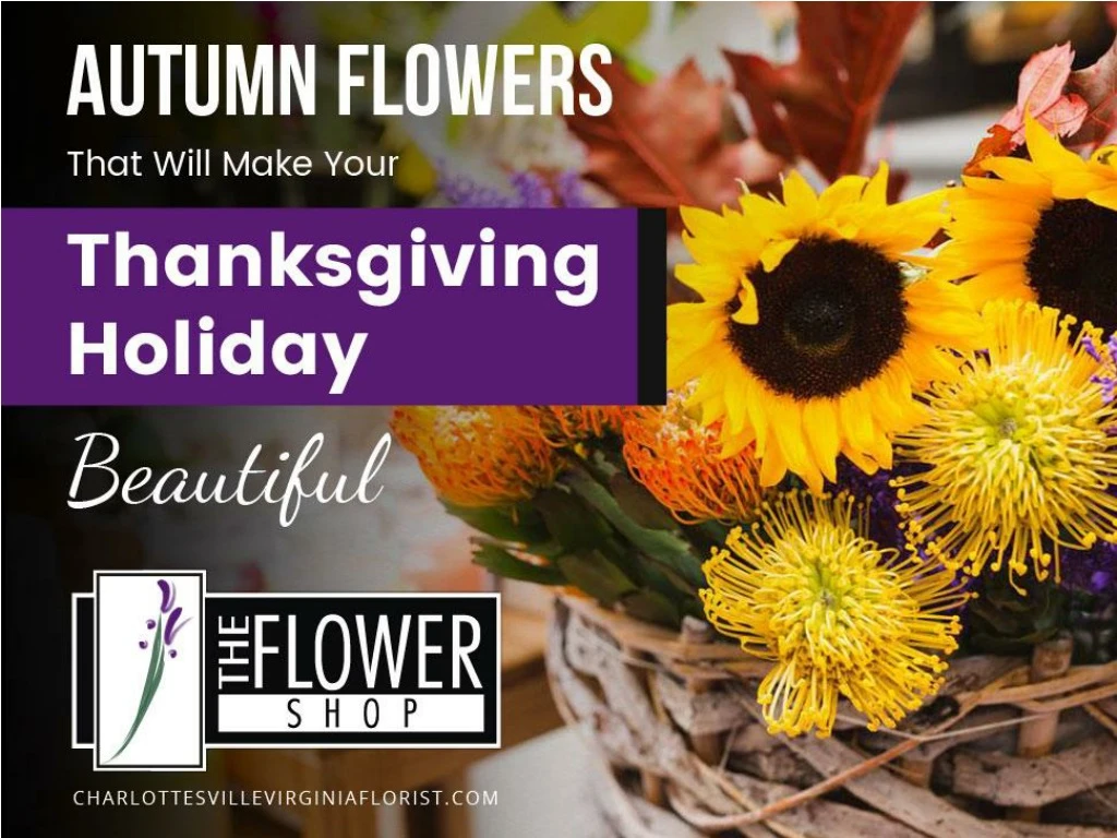 autumn flowers that will make your thanksgiving holiday beautiful