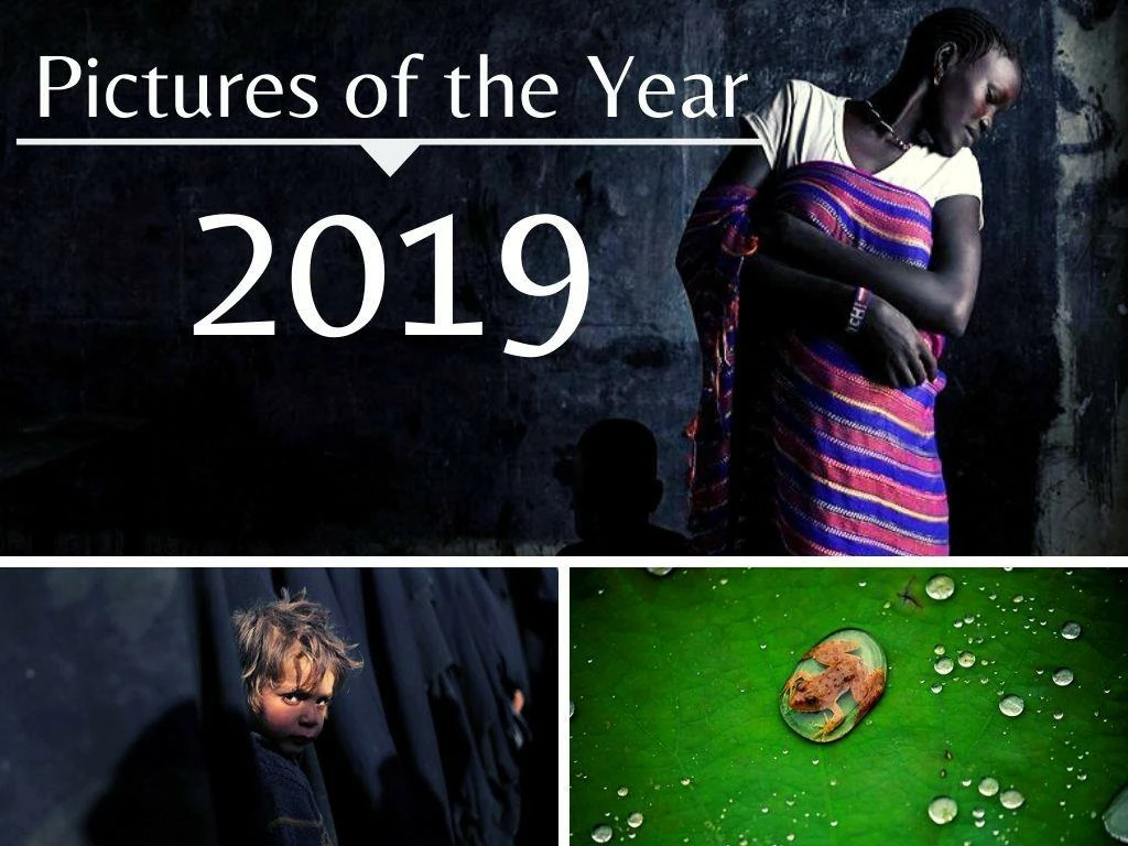 pictures of the year 2019