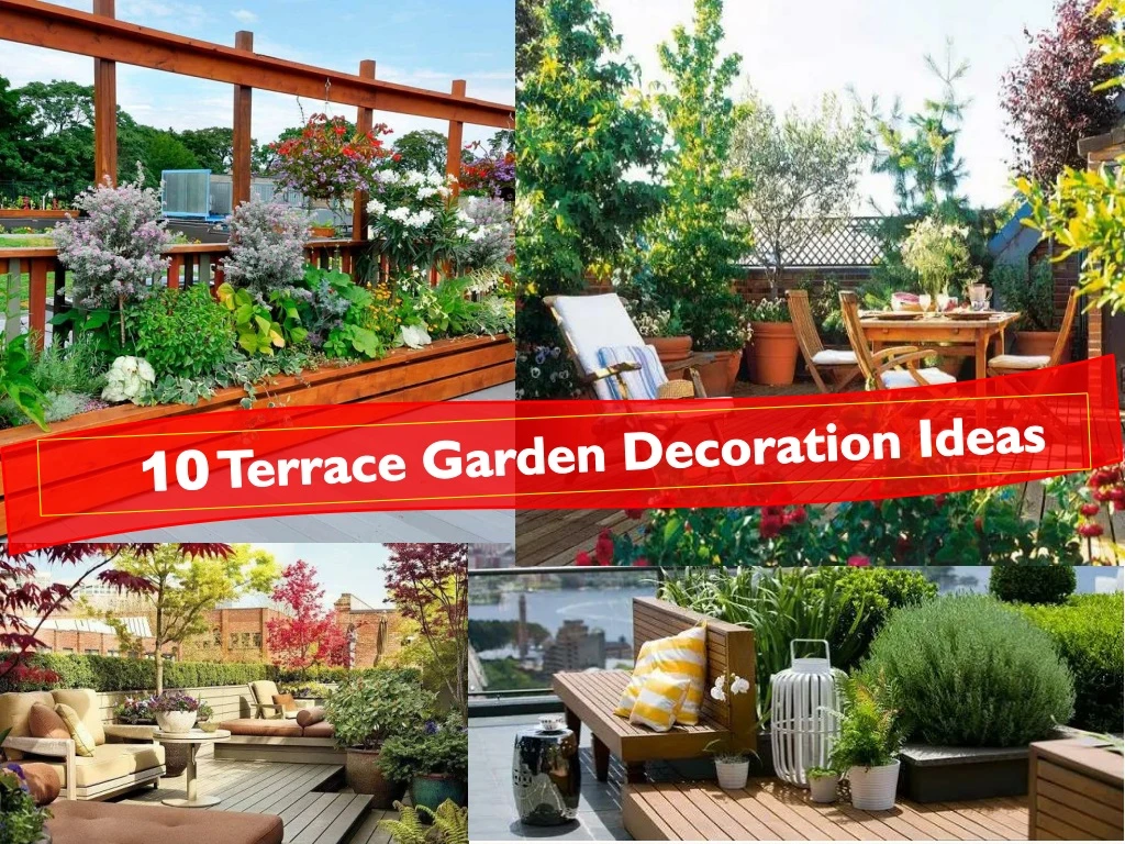 10 terrace garden decoration ideas