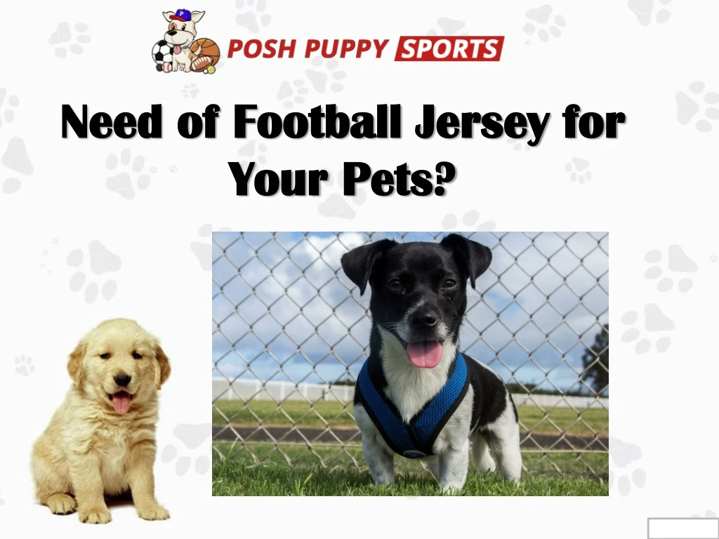 need of football jersey for your pets