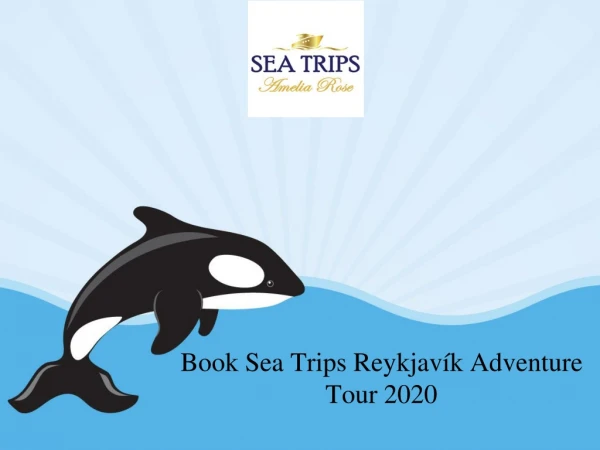 Book Sea Trips Reykjavík Adventure Tour 2020