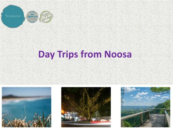 day trips from noosa