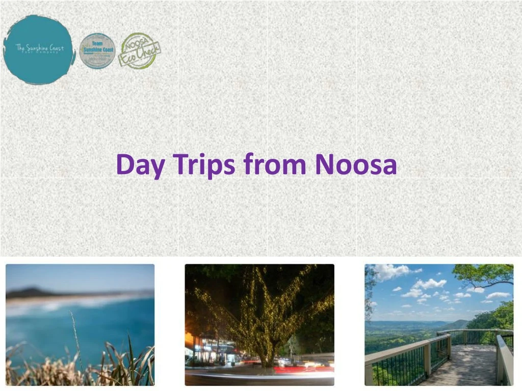 day trips from noosa