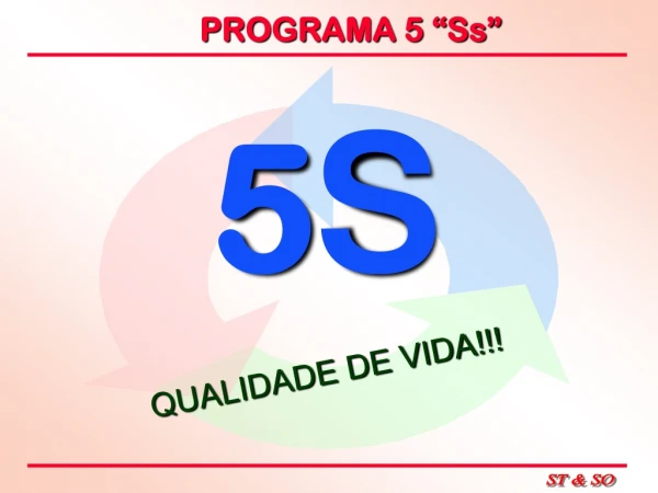 Programa 5S