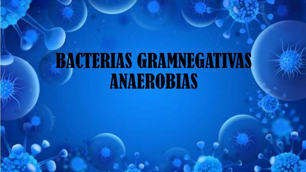 bacterias gramnegativas anaerobias