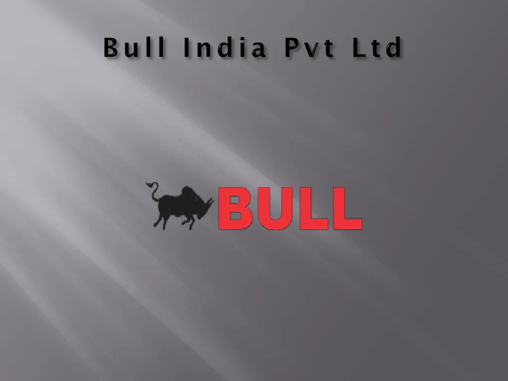 bull india pvt ltd