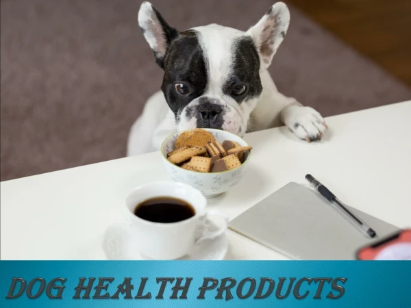 DOG HEALTH PRODUCTS