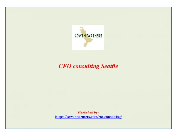 CFO consulting Seattle