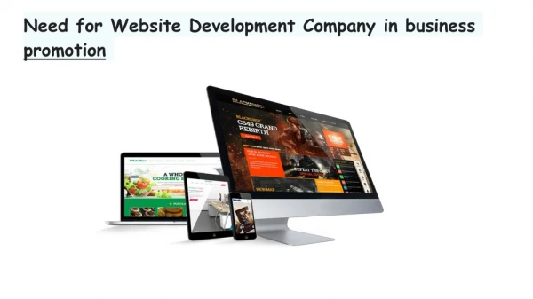 Need for Website Development Company in business promotion