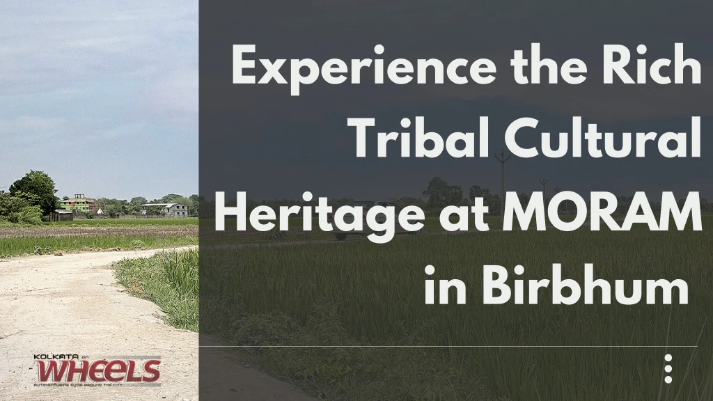 experience the rich tribal cultural heritage