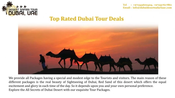 Best offers on Desert Safari in Dubai