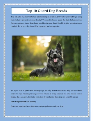 PPT - Top 5 Dog Breeds With The Strongest Bite Infographic PowerPoint ...