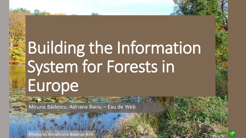 building the information system for forest s in europe