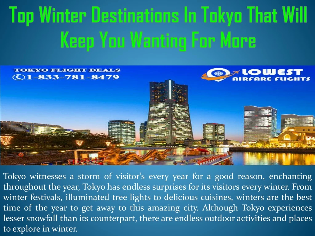top winter destinations in tokyo that will keep