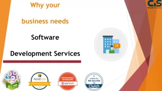 Why your business needs Software Development Services - slide 1