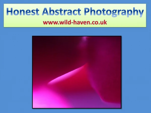 honest abstract photography www wild haven co uk
