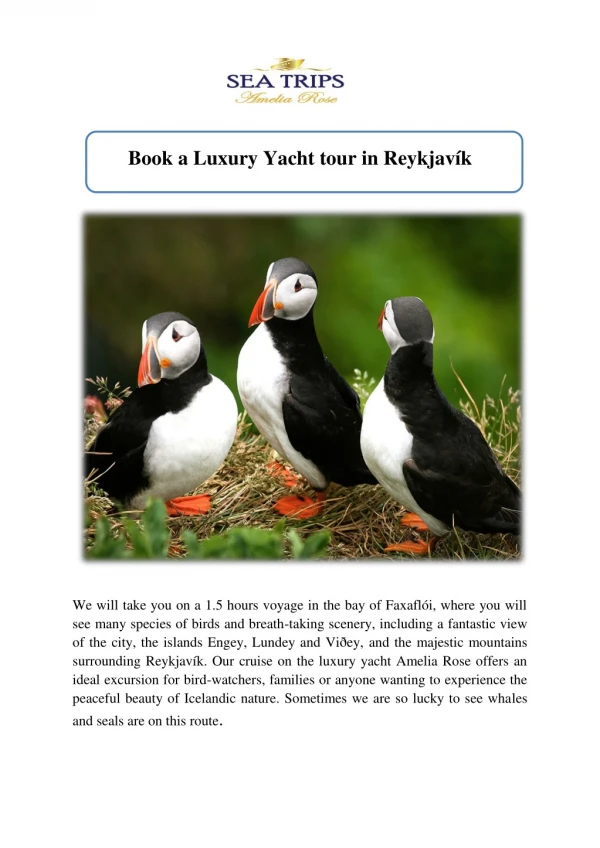Book a Luxury Yacht tour in Reykjavík