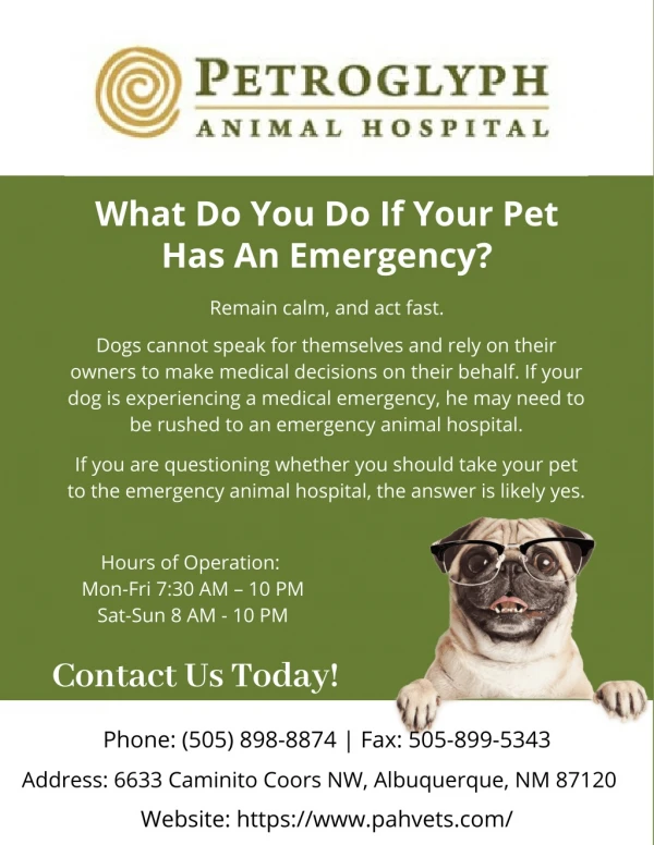 What Do You Do If Your Pet  Has An Emergency?