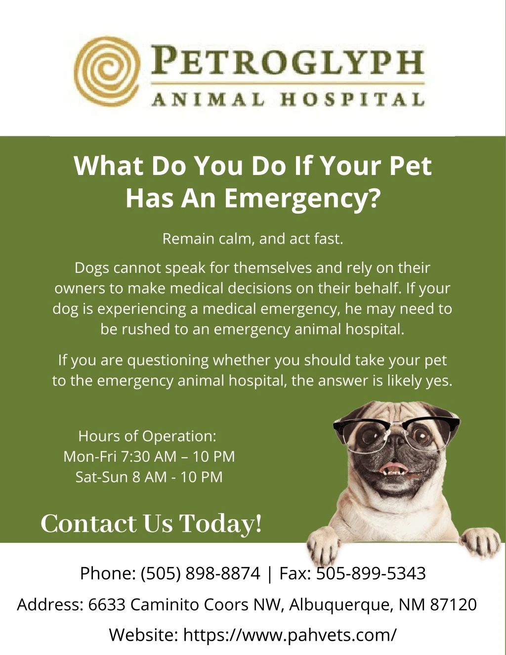 what do you do if your pet has an emergency