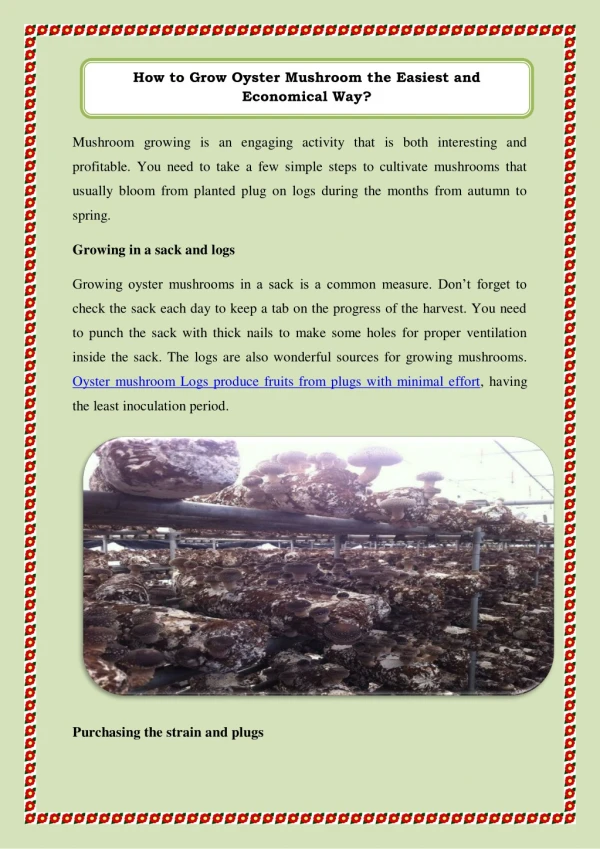 how to grow oyster mushroom the easiest